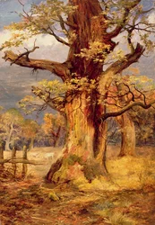 Blasted Oak, Galloway